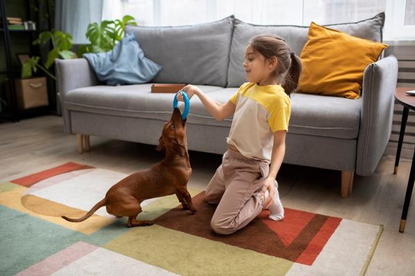 Expert Carpet Cleaning